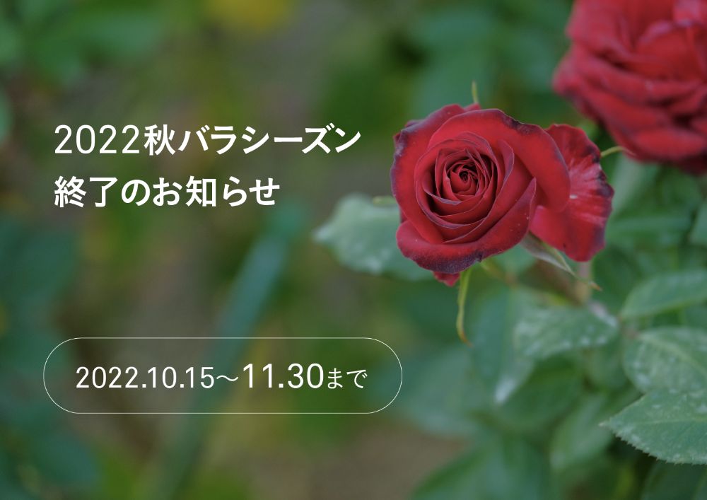 秋バラシーズンが11月30日（水）で終了！アクティビティや温かいグルメを楽しんで