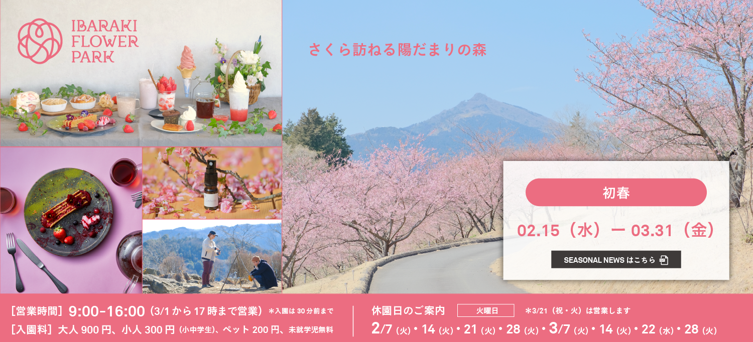 2023初春春バナー
