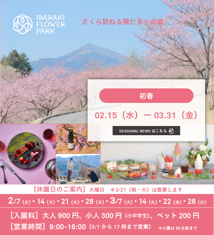 2023初春春バナー
