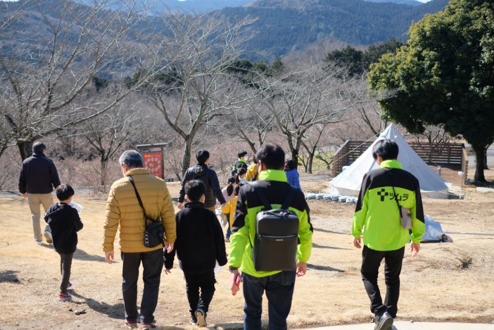 河津桜が見頃を迎える今週末に開催！「森の役立つ植物たちを巡る散策ツアー」