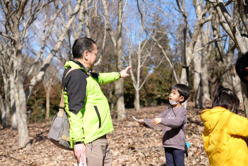 河津桜が見頃を迎える今週末に開催！「森の役立つ植物たちを巡る散策ツアー」