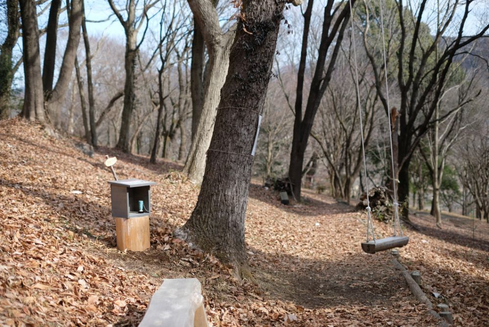 河津桜が見頃を迎える今週末に開催！「森の役立つ植物たちを巡る散策ツアー」