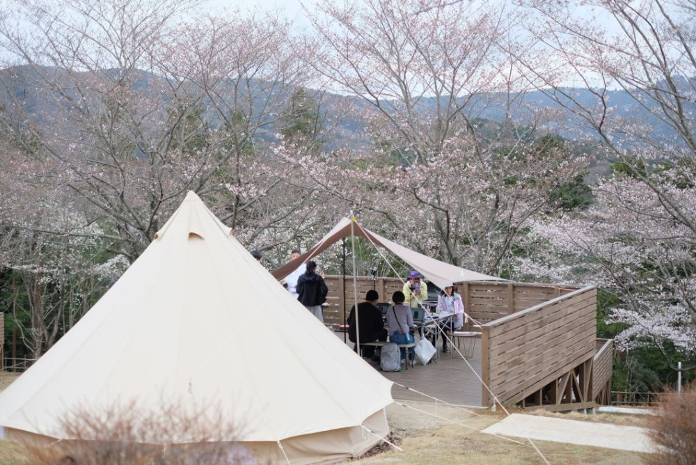 桜シーズン到来！ANAとコラボしたライブ配信を実施中！