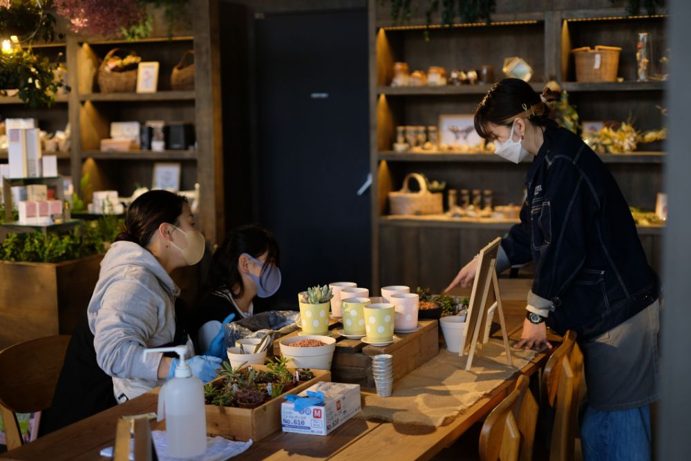 スイーツセット付！笠間焼で多肉植物寄せ植え体験