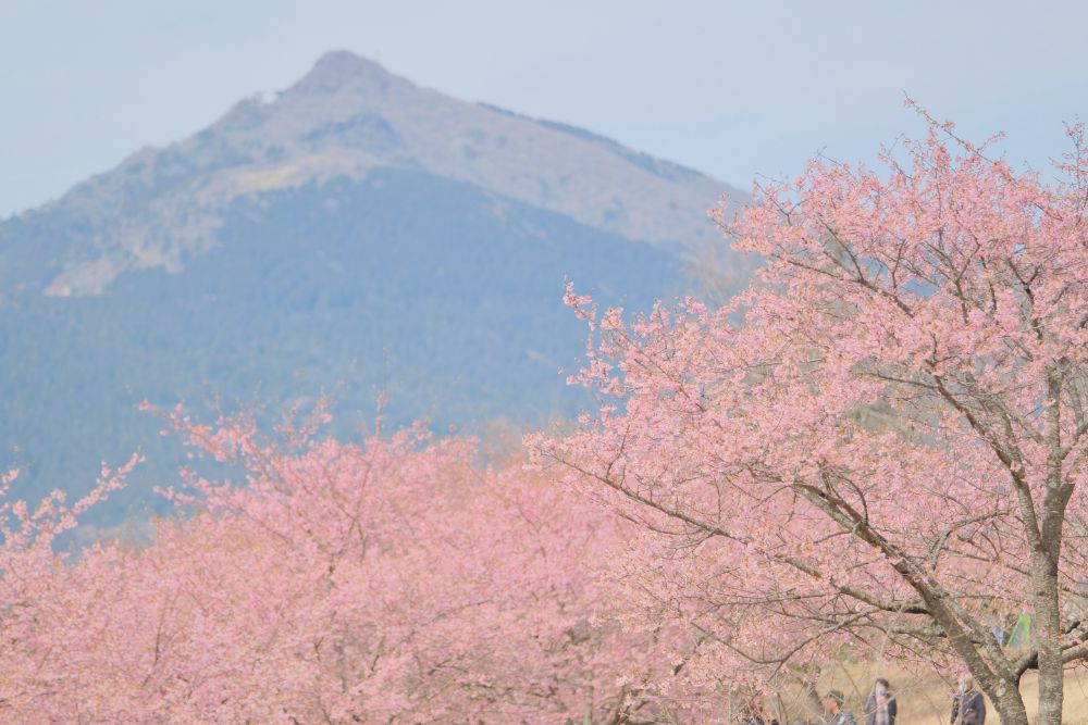 陽だまりの園内で開催中！四季の花めぐりスタンプラリー