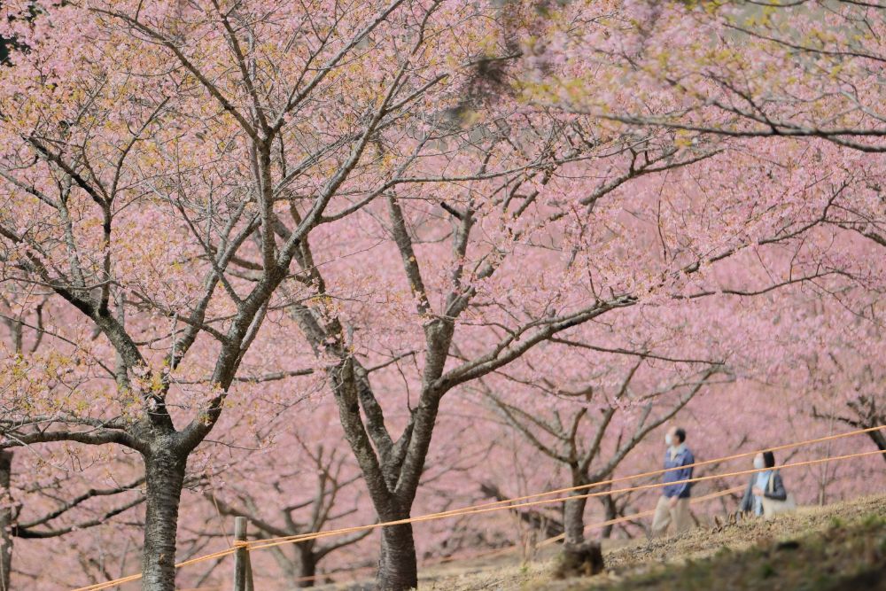 陽だまりの園内で開催中！四季の花めぐりスタンプラリー