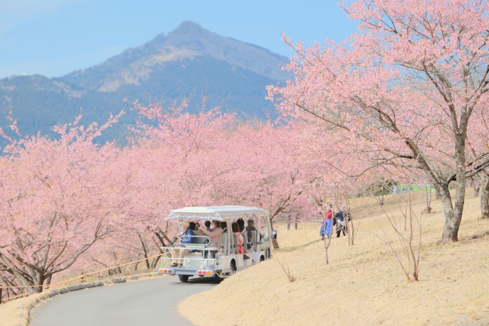 陽だまりの園内で開催中！四季の花めぐりスタンプラリー