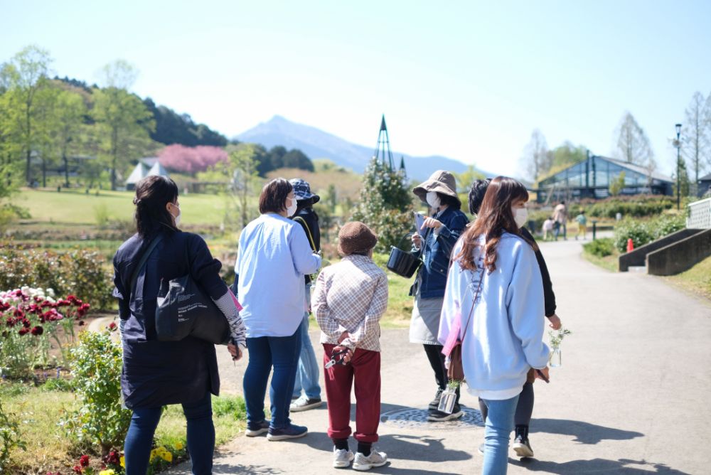 ポピーやラナンキュラスと春の草花摘みツアー