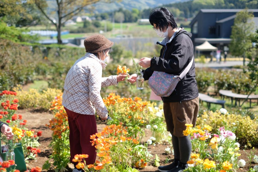 ポピーやラナンキュラスと春の草花摘みツアー