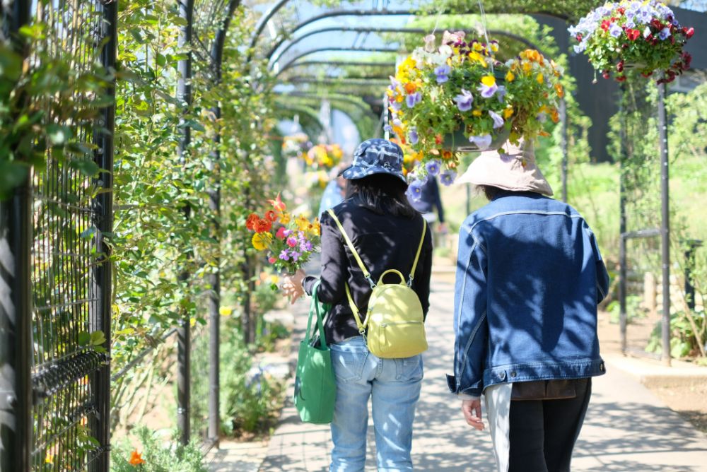 ポピーやラナンキュラスと春の草花摘みツアー