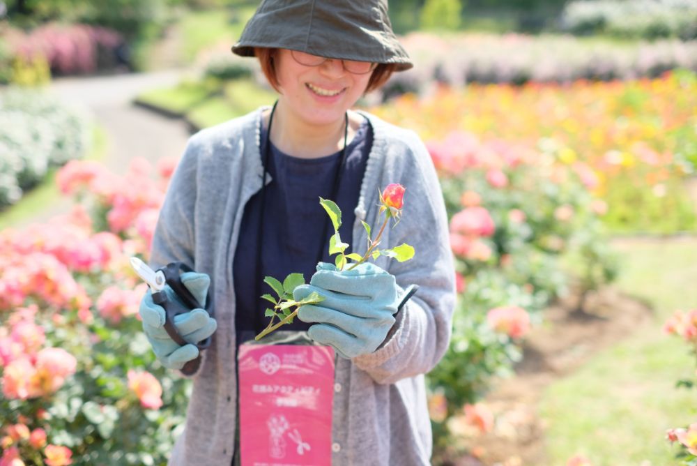 春バラと初夏の草花摘みアクティビティ