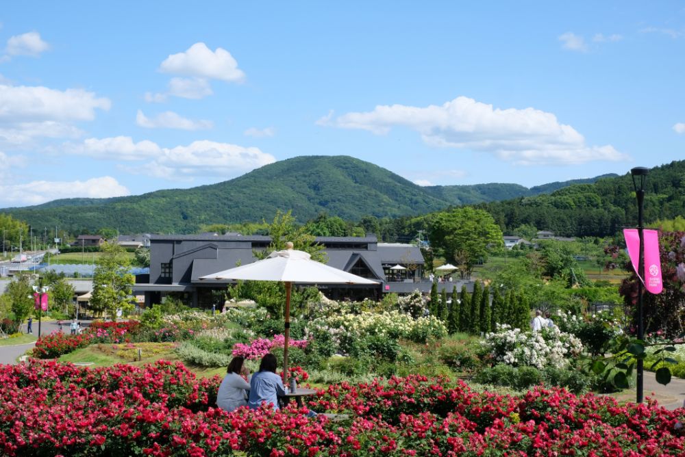 2023/5/24【開花状況】3年目でようやくアーチを覆ったバラのトンネル！