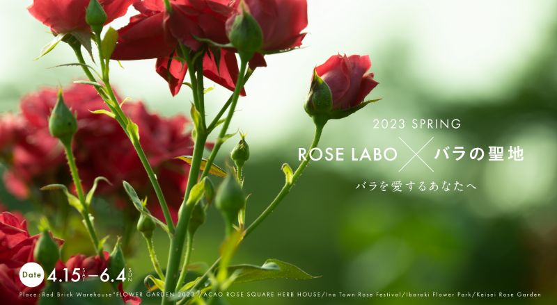 マーケットにて、ROSE LABOのPOPUPを6/2-3に開催！ローズバスソルトプレゼント企画
