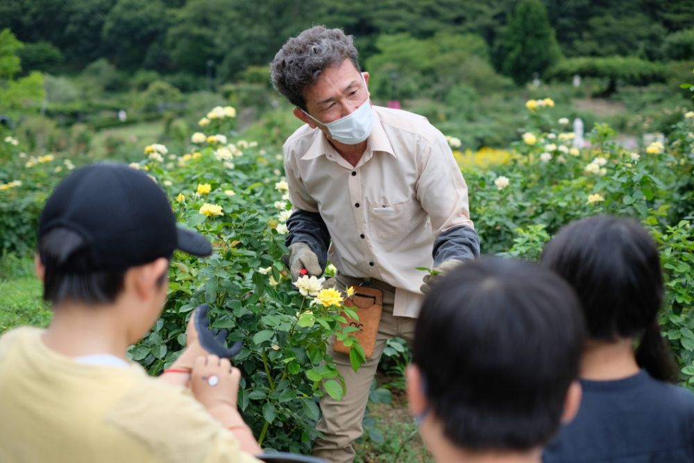 「フラワーパークでしたい100のこと」にチャレンジして、花や自然を満喫する特典満載の「夏休みキッズフリーパス」