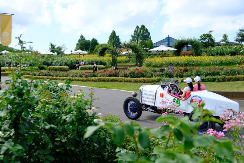 花のコースを駆け抜けたクラシックカー！明日7/30は音の花束コンサートでJazz Live！