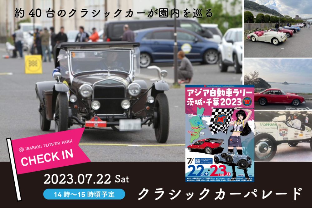 明日7/22（土）、約40台のクラシックカーがバラテラスをパレード！