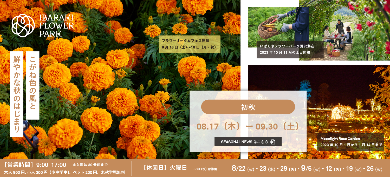 初秋バナー