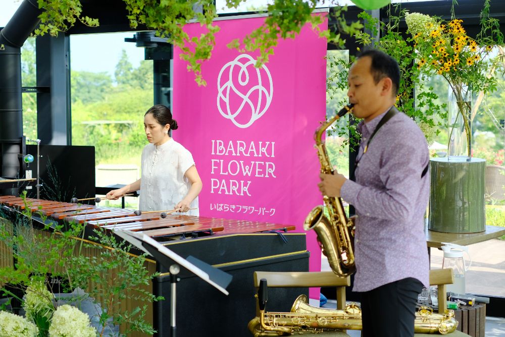 2023/8/19【開花状況】ヒマワリは明日8/20まで！JR特別列車運行＆音の花束コンサート開催