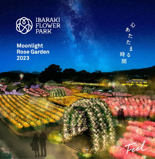 ibaraki-flowerpark-illumination1