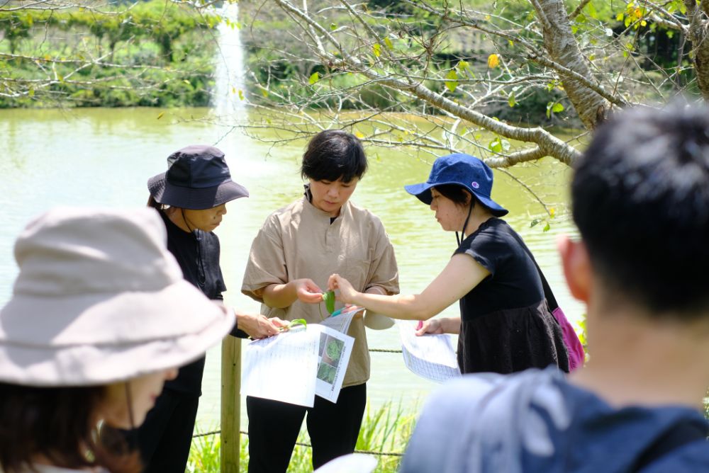 ツムラの生薬のプロと巡る散策ツアー開催＆マリーゴールドの植え替え