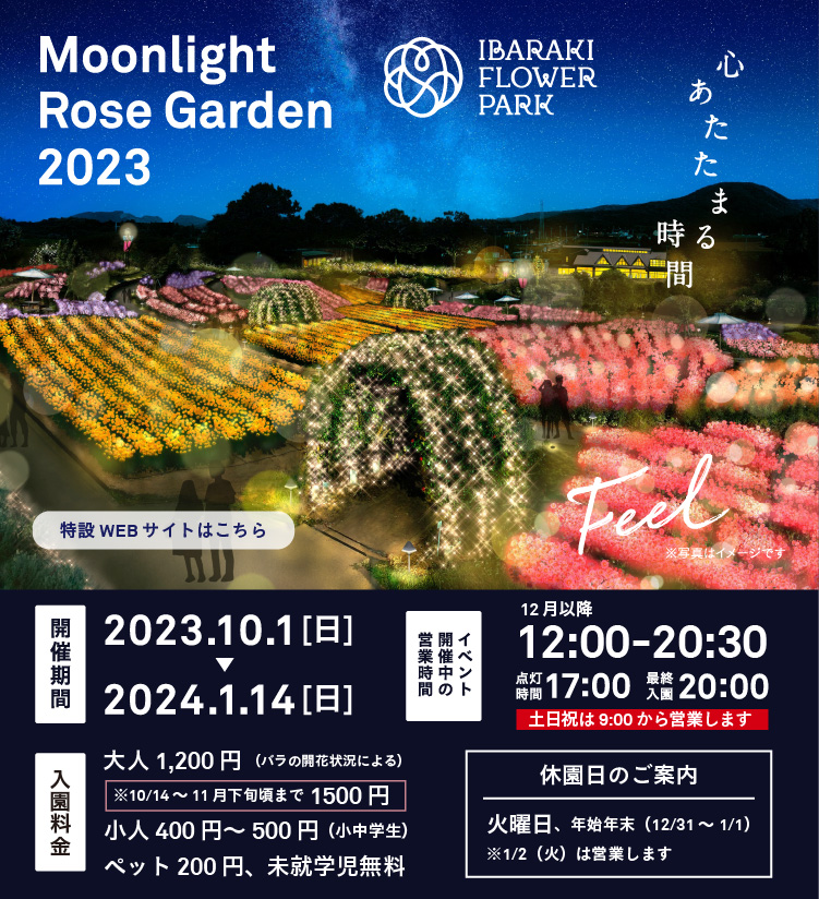 Moonlight Rose Garden