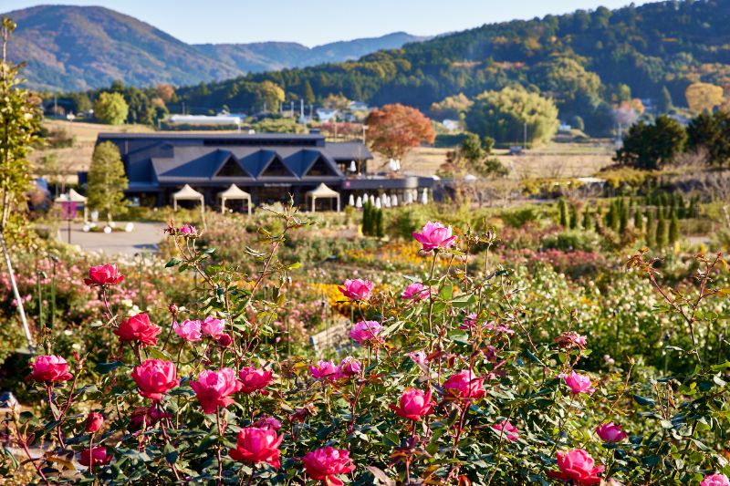 10月14日（土）より、入園料金が変更となります