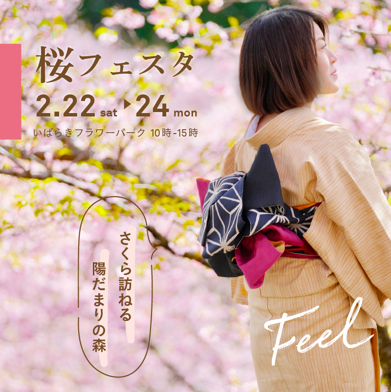 ママ様 確認用 中受ママさま 確認用８ 中受ママさま 確認用1 中受