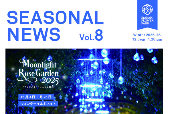 ［12/3-1/26］シーズナルニュース冬号「ウィンターイルミネイト」