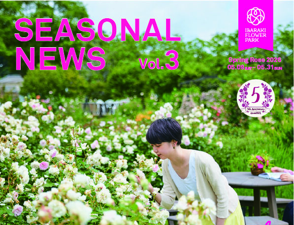 ［5/9-5/31］シーズナルニュースVol.3　春バラ号「バラに囲まれる時間」