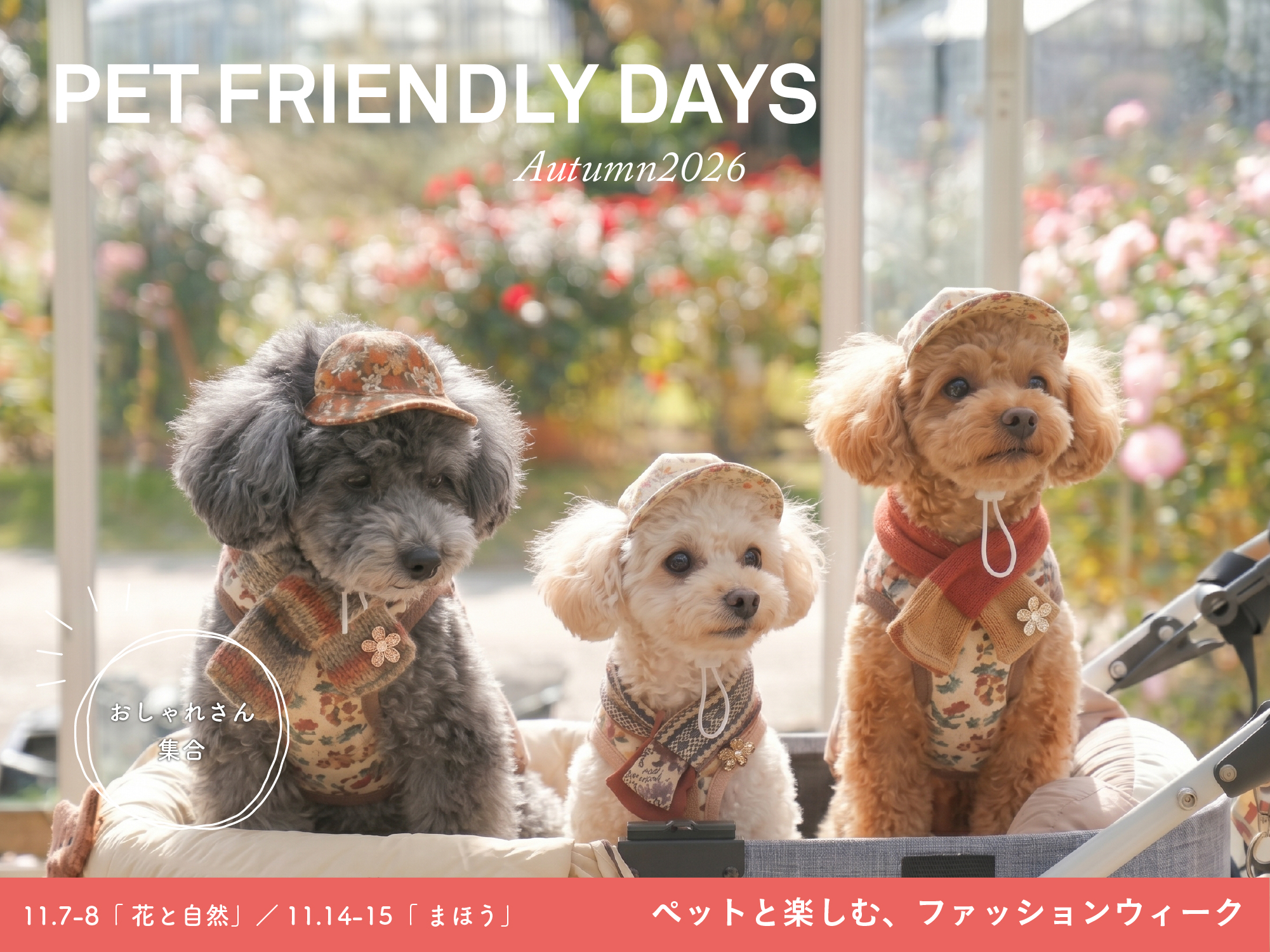 ［11/7,8,14,15］『ペットフレンドリーデイズAutumn2026〜ペットと楽しむ、ファッションウィーク〜』愛犬と一緒に、秋の花とおしゃれを楽しもう！